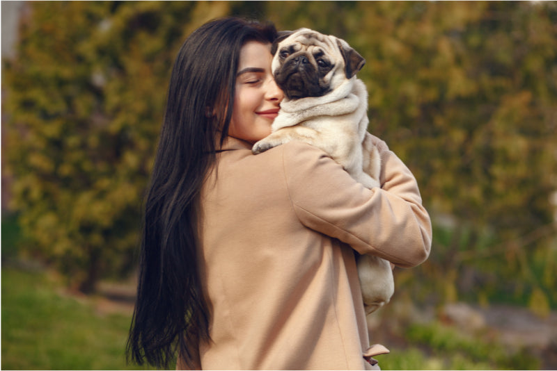 Perfect Gifts for Pug Lovers